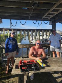 We found the Mahi Mahi