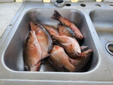 Great day on the water