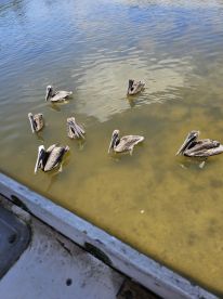 Great day on the water