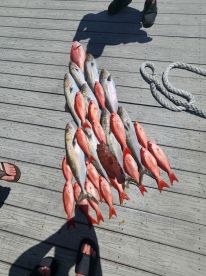 The best team in the gulf!!!