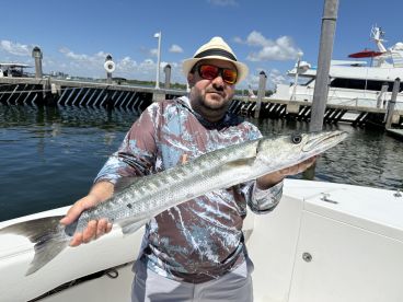 Exactly what I was looking for 