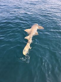 Great day on the water