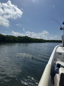 Good day of fishing backwaters