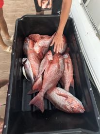 Awesome charter experience!! 