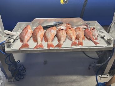 Awesome charter experience!! 