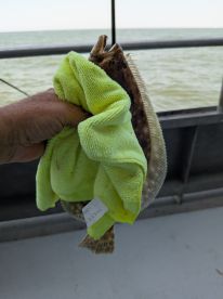 Don't waste your time! 