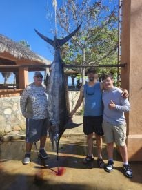 Caught large Marlin and several sailfish