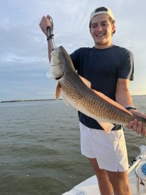 Very Experienced Guide