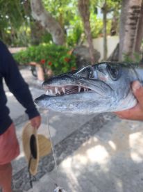 Expert knowledge amazing experience 