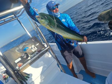 Expert knowledge amazing experience 