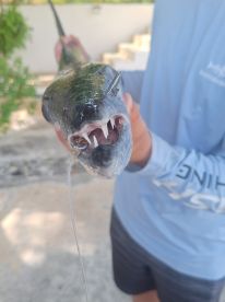 Expert knowledge amazing experience 