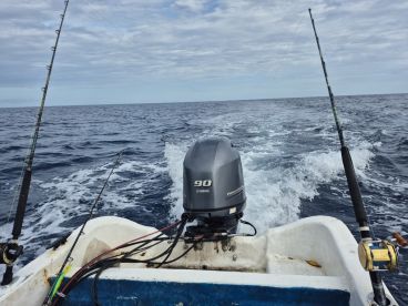 Don't make my mistake, sum bull...