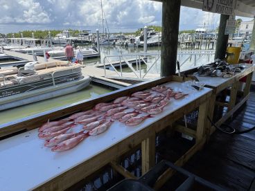 Freddie and Logan are top tier!