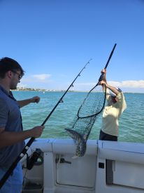 Caught multiple sharks!!