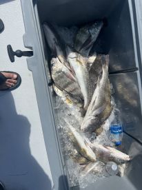 Capt Joe Garza Will Put You On The Fish!