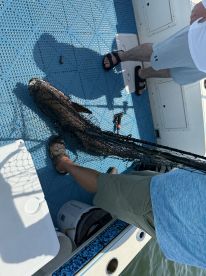 Tip Sea charters keep you on fish and work like crazy doing so!