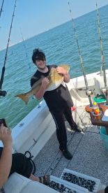 Went above and beyond!