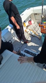 Went above and beyond!