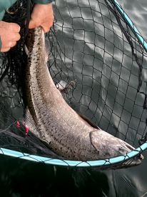 Great Day On The Water