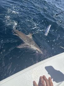 Awesome day on the water