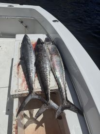 Awesome day on the water