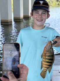 Massive Peacock bass haul