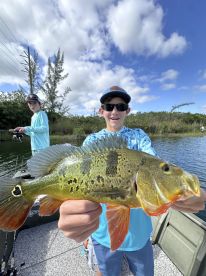 Massive Peacock bass haul
