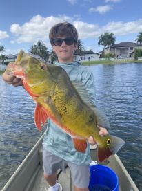 He Knows What He’s Doing - Awesome