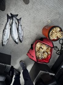 Great time with a great captian