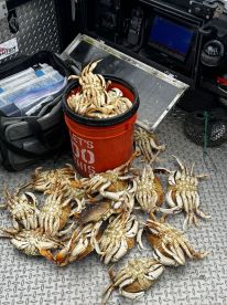 Great time with a great captian