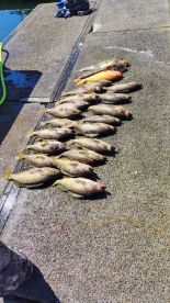 first time on open water