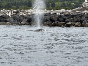 Unforgettable fishing adventure to celebrate 80th Burthday!