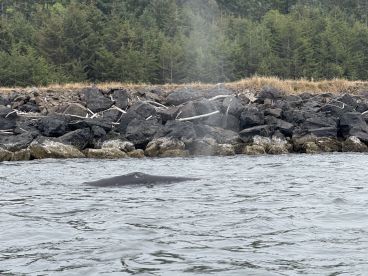 Unforgettable fishing adventure to celebrate 80th Burthday!