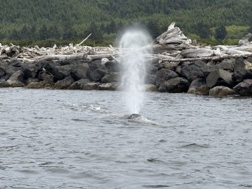 Unforgettable fishing adventure to celebrate 80th Burthday!