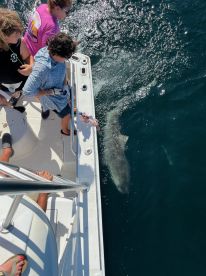 5 stars is not enough!