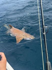 Great time on the water 