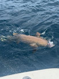 Great time on the water 