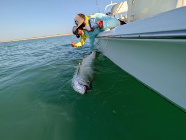 Great Captain all around!