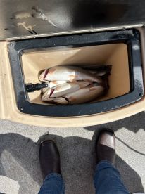 Captain was cool and we caught our limit