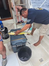 Fantastic experience!