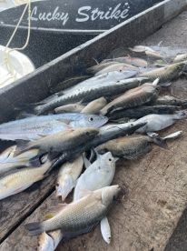 Great day reef fishing!