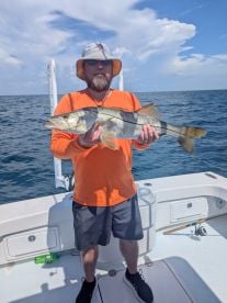 Friendly and flexible