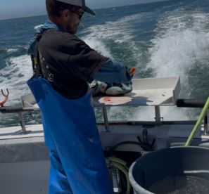 very pleasant and very rewarding day of fishing trip