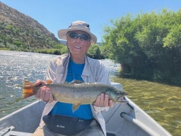 Tim Great patient coaching Guide.