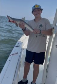 I would give them 6 stars if I could!