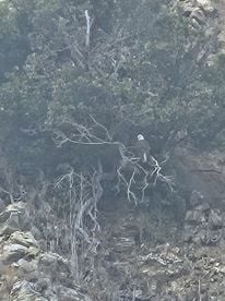 Lots of Fish Catching Experience !!