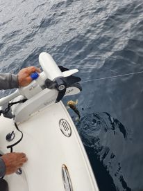 Lots of Fish Catching Experience !!