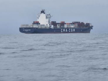 Lots of Fish Catching Experience !!