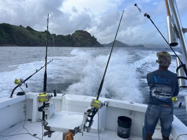 10/10 would recommend 