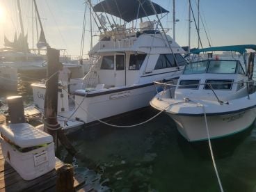 Perfect experience for our vacation!